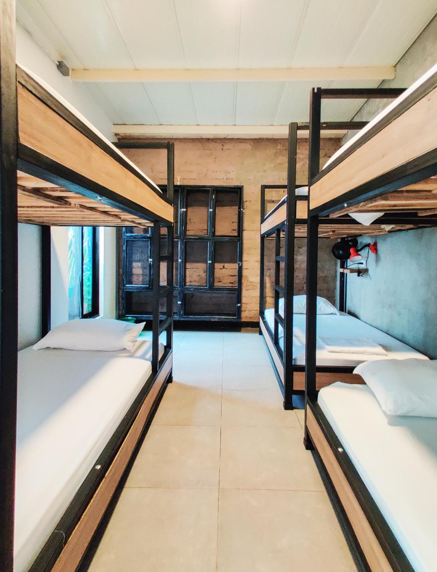 בוקארמנגה Zamia Hostel מראה חיצוני תמונה