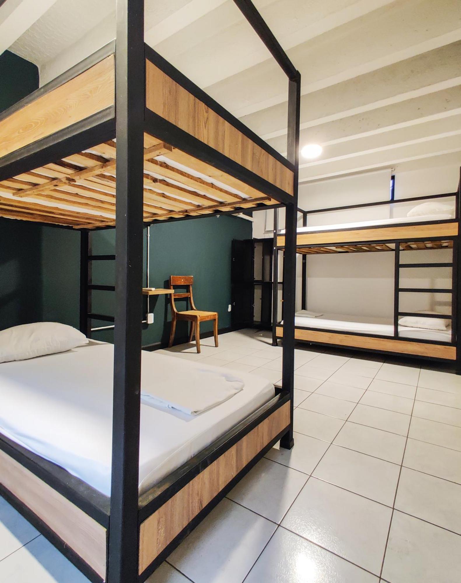 בוקארמנגה Zamia Hostel מראה חיצוני תמונה