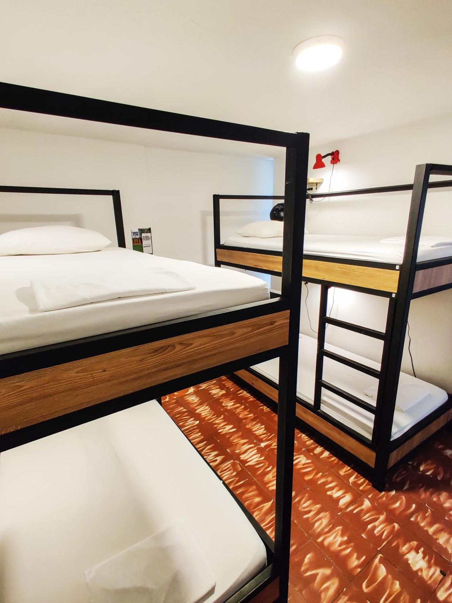 בוקארמנגה Zamia Hostel מראה חיצוני תמונה