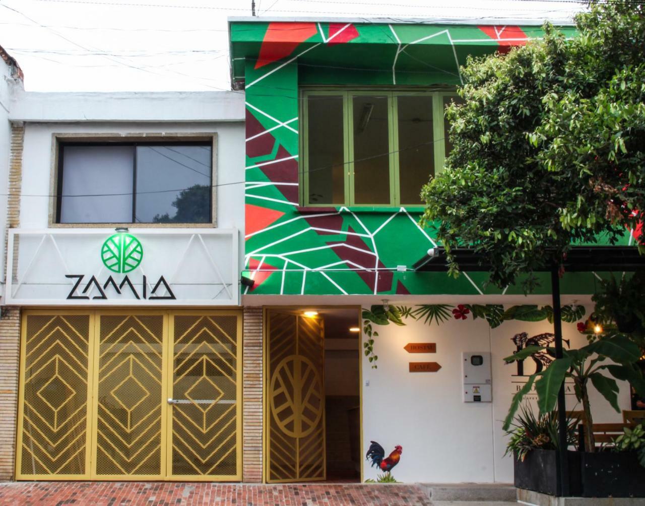 בוקארמנגה Zamia Hostel מראה חיצוני תמונה